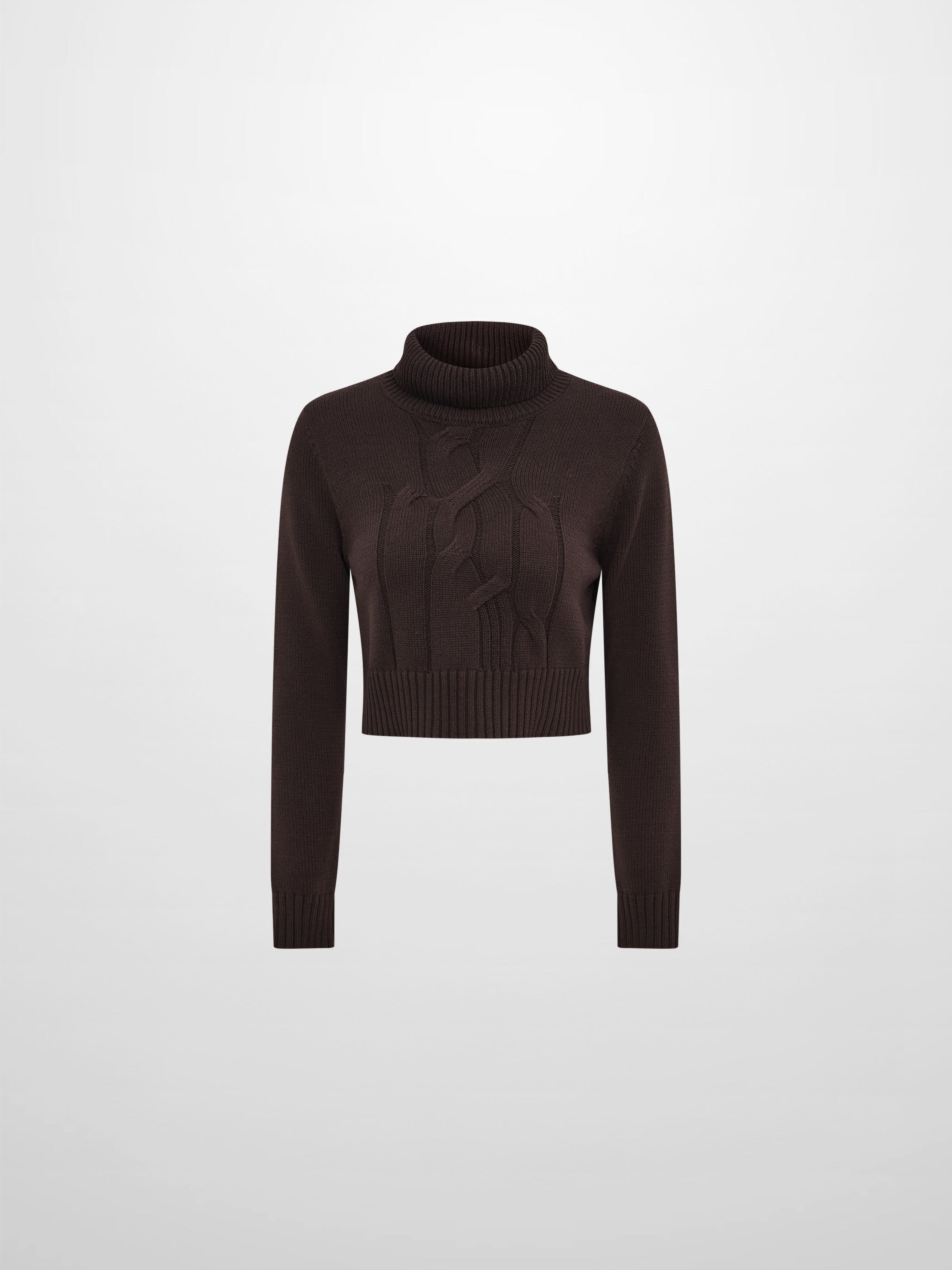 Front Cable Crop Turtleneck Sweater - Brown