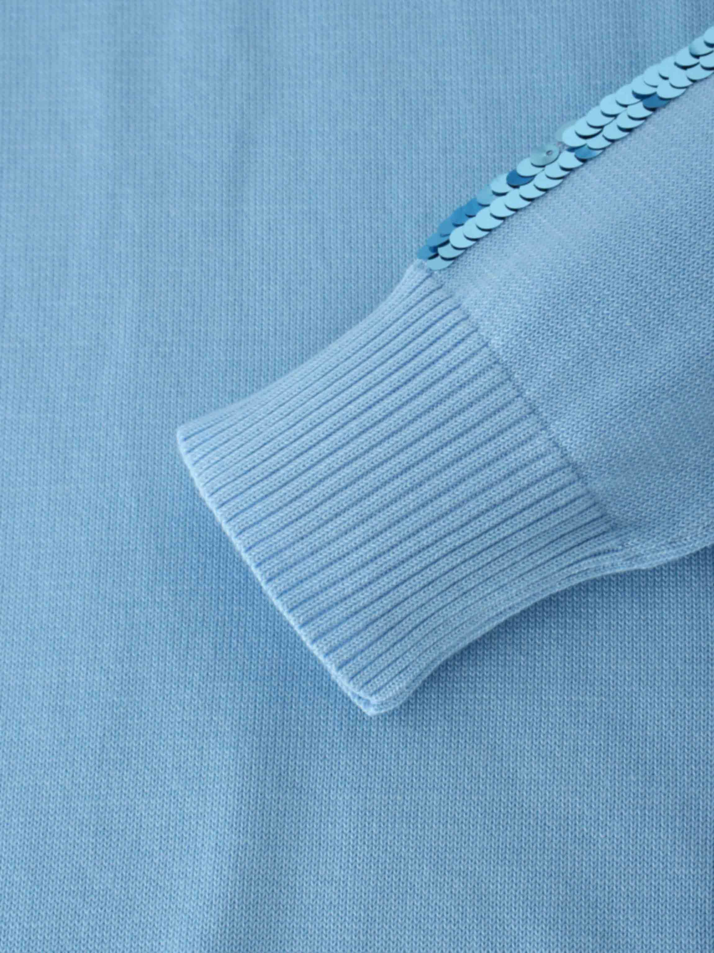 Sequin Trim Sweater-Ice Blue