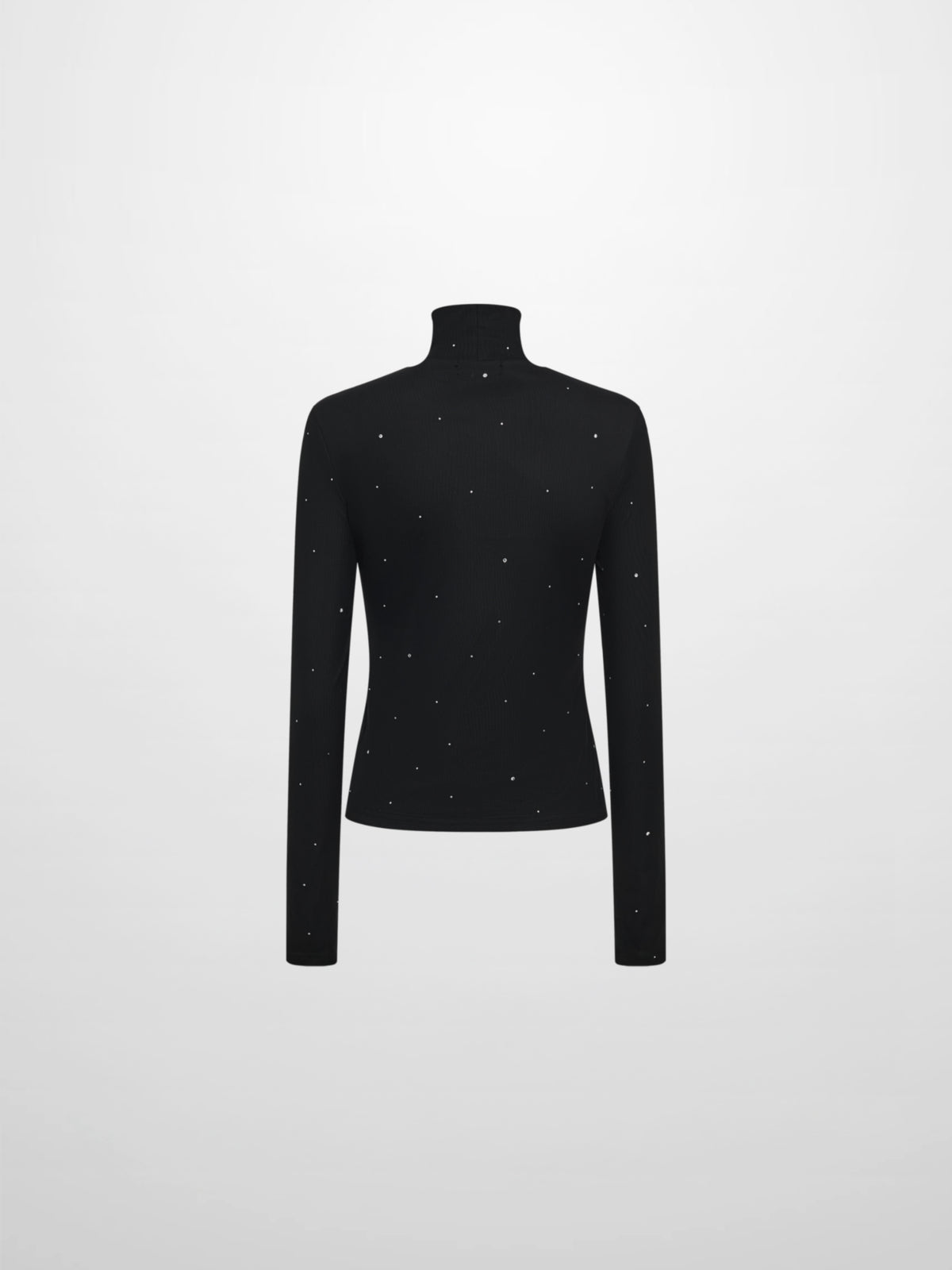 Rhinestone Embelished Mesh Turtleneck - Black