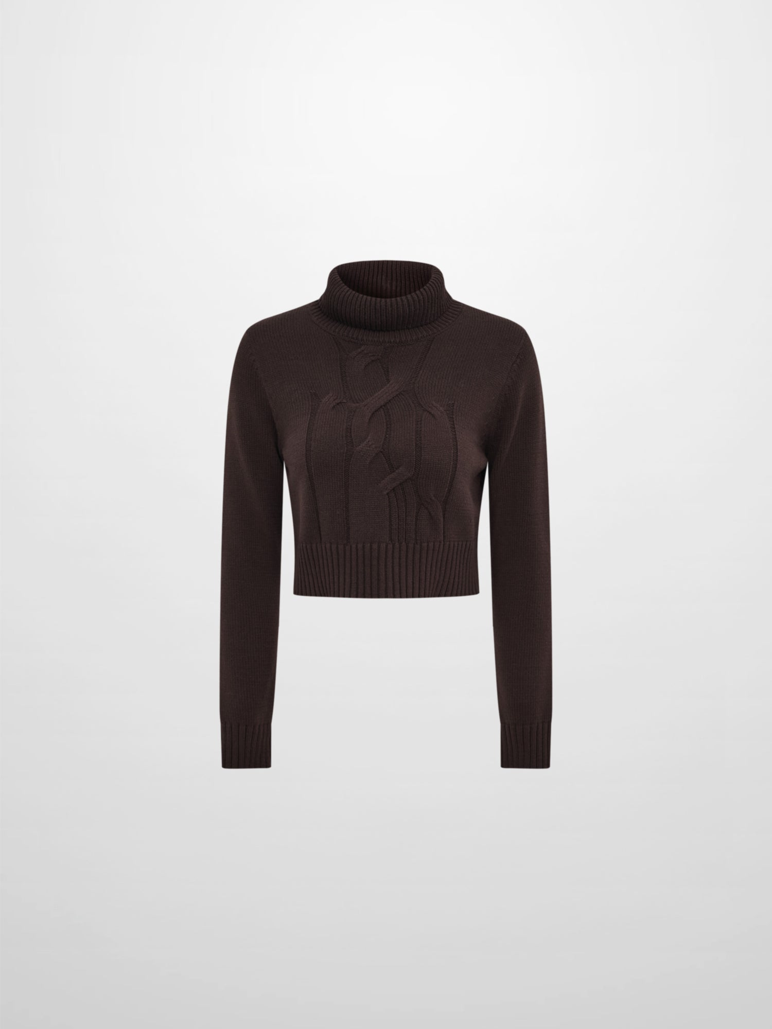 Front Cable Crop Turtleneck Sweater - Brown