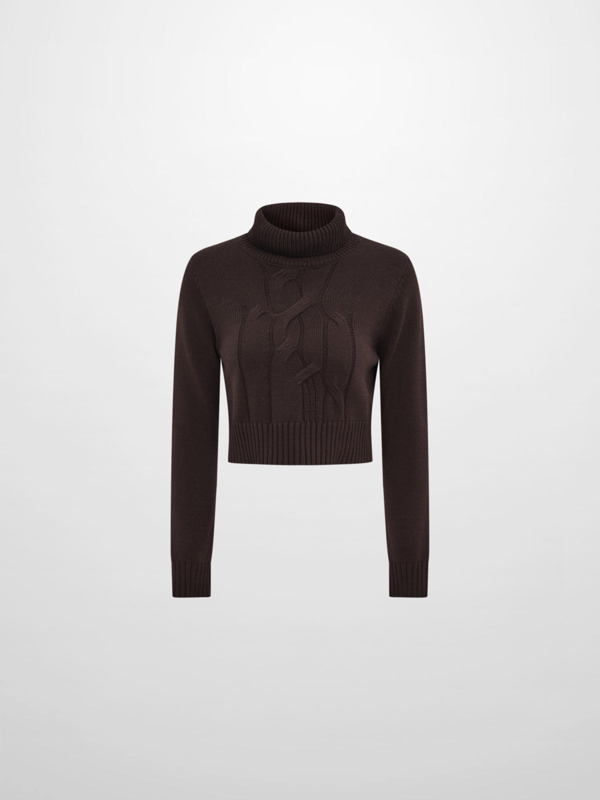 Front Cable Crop Turtleneck Sweater - Brown