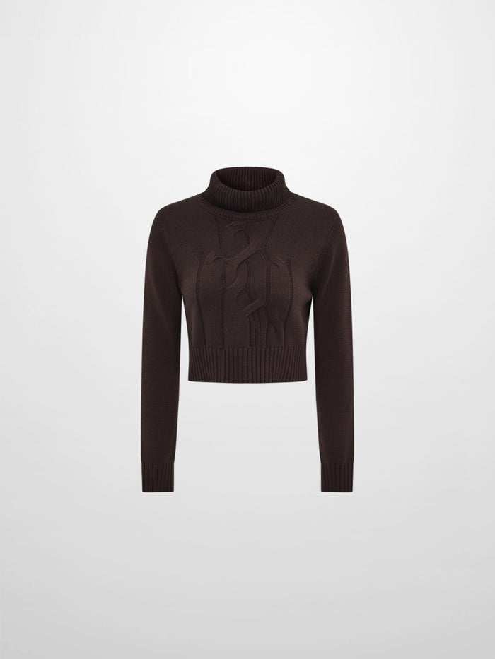 Front Cable Crop Turtleneck Sweater - Brown