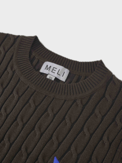 Logo Cable Sweater-Brown/Blue