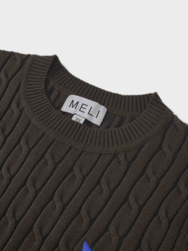 Logo Cable Sweater-Brown/Blue