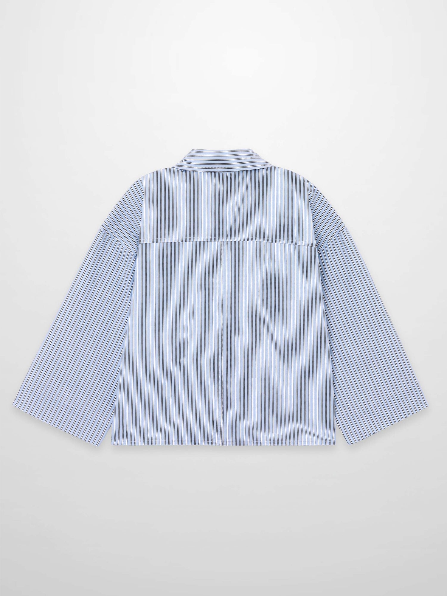 Embelished Pinstripe Crop Blouse-Blue/White
