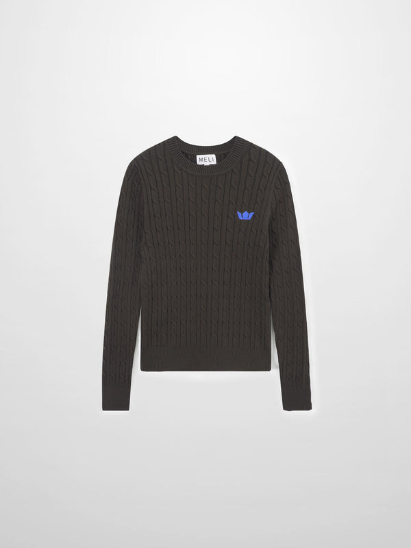 Logo Cable Sweater-Brown/Blue