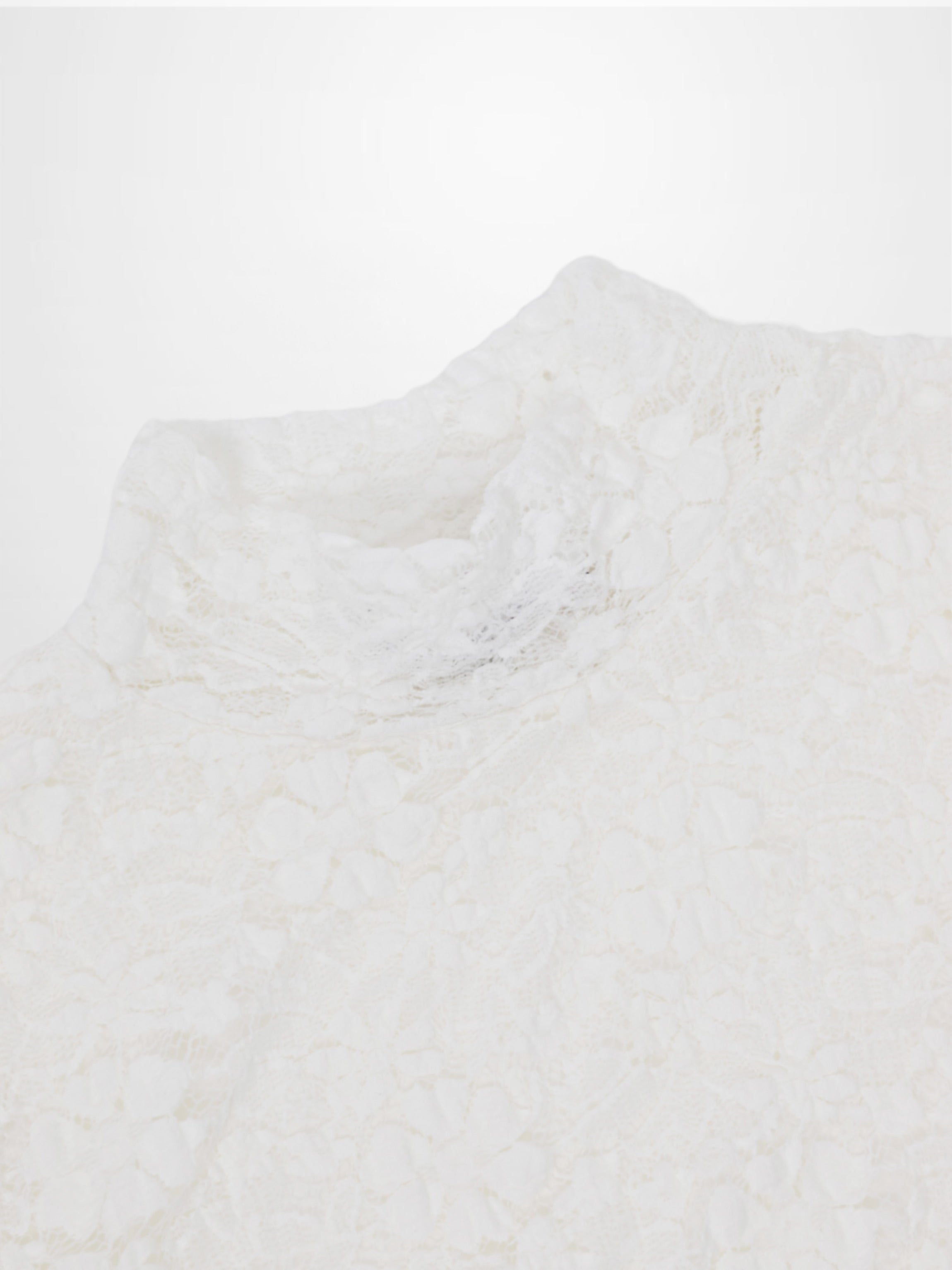 Lace Mock Neck Turtleneck-White