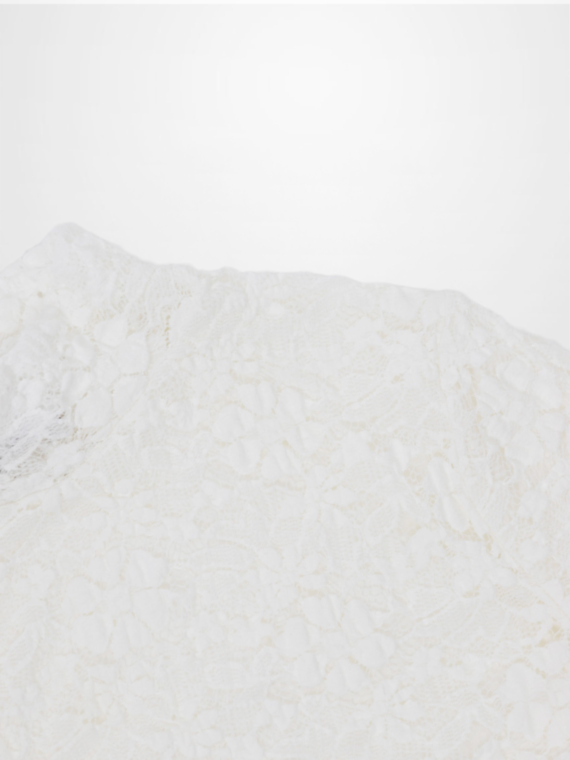 Lace Mock Neck Turtleneck-White