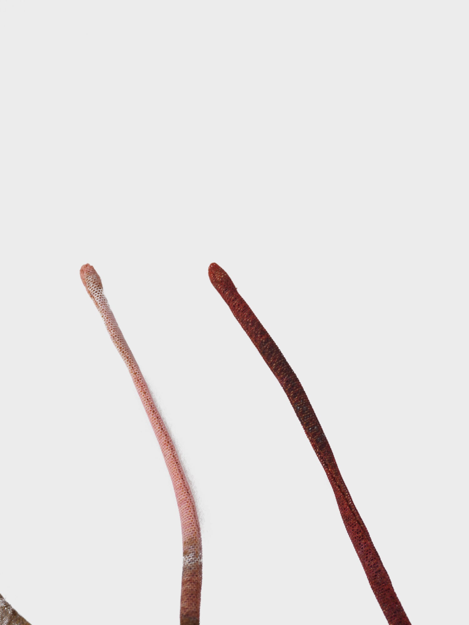 Mesh Tiered Dress-Watercolor Floral