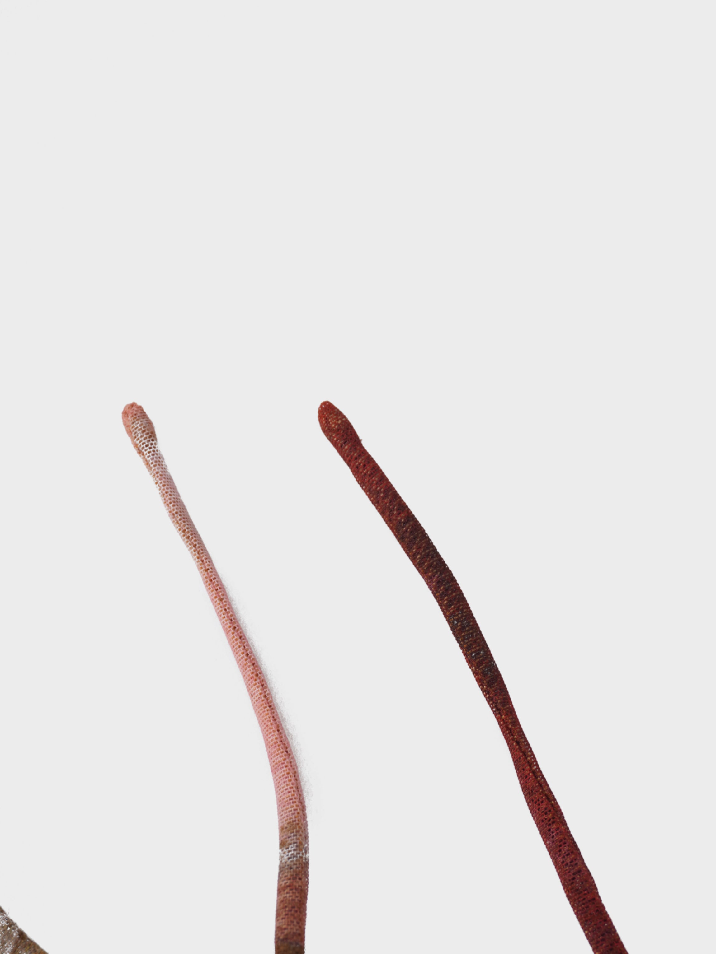 Mesh Tiered Dress-Watercolor Floral