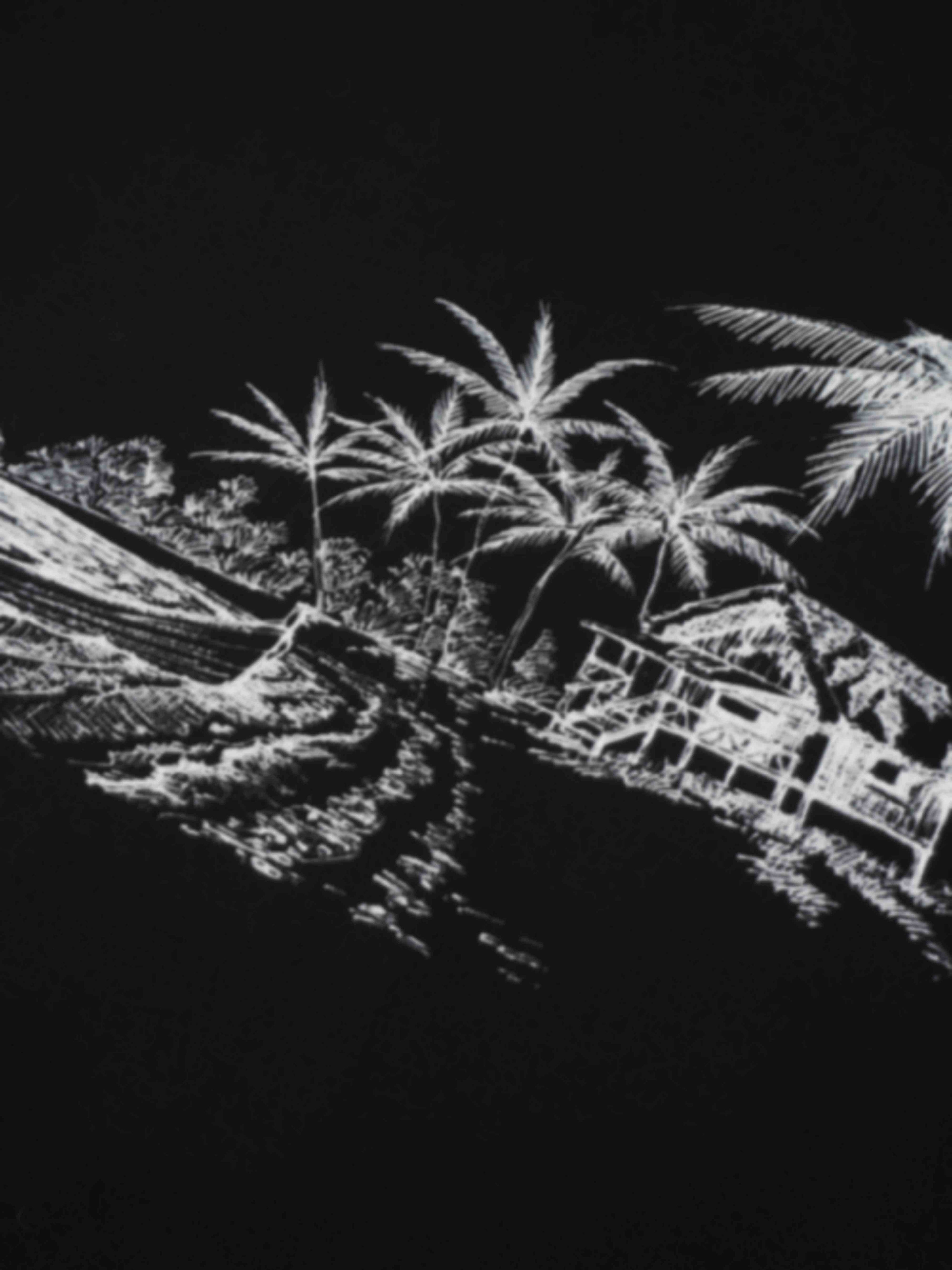 Maxi T-Shirt Dress-Black/White Palm