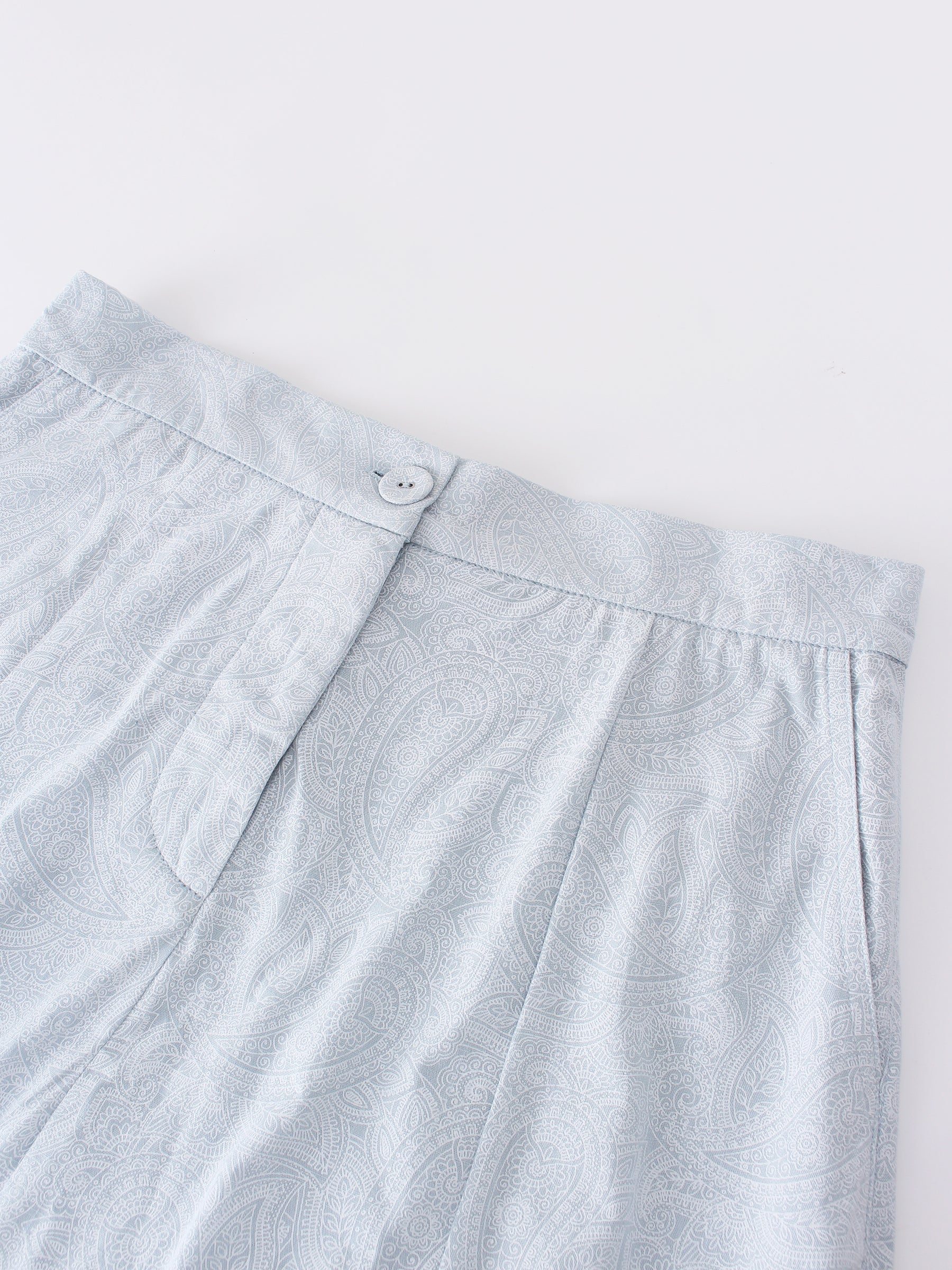 Pattern A-Line Seamed Skirt-Light Blue Paisley