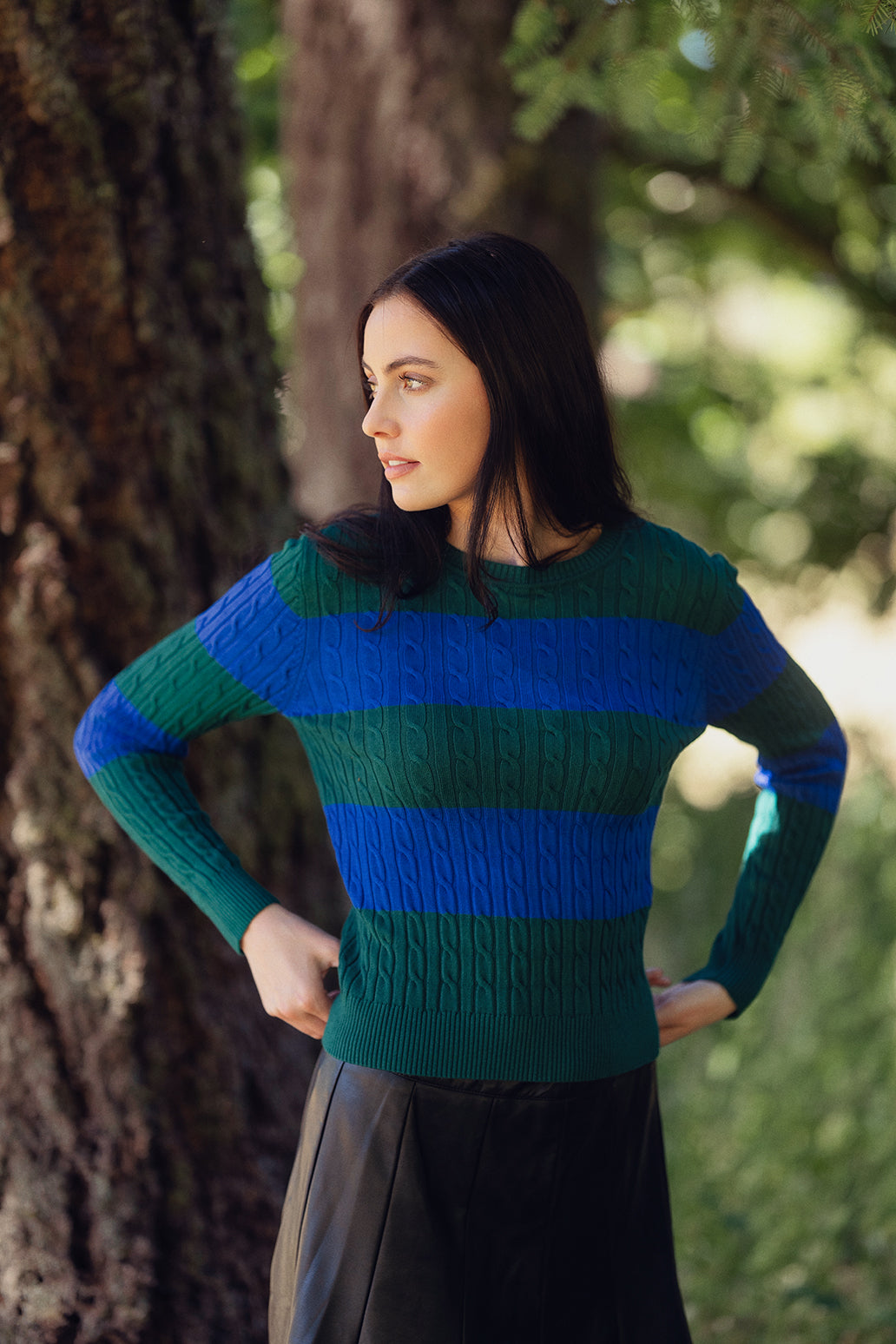 Striped Cable Sweater-Cobalt Blue/Hunter Green