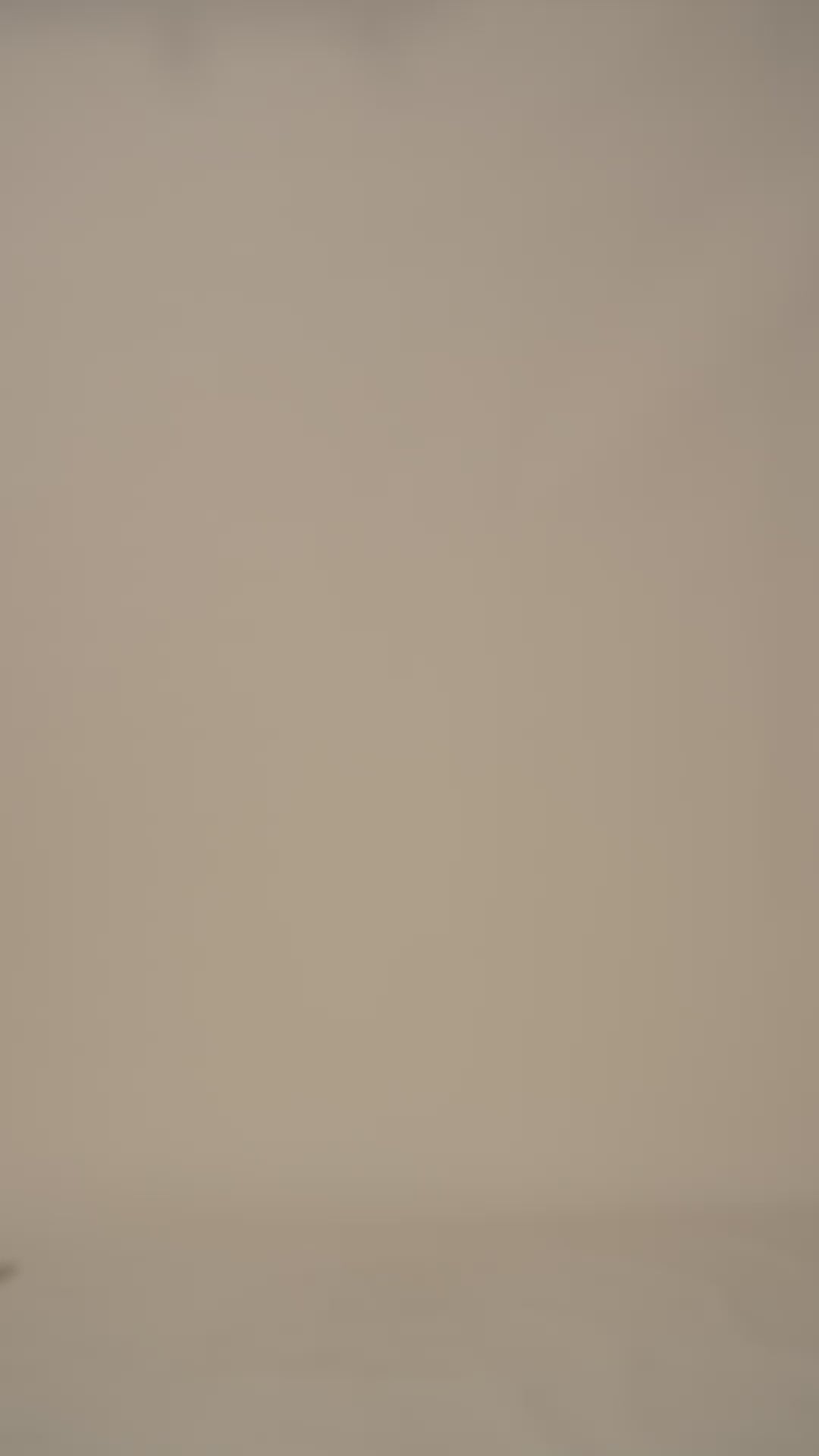 TRUMPET FLARE SKIRT-TAUPE