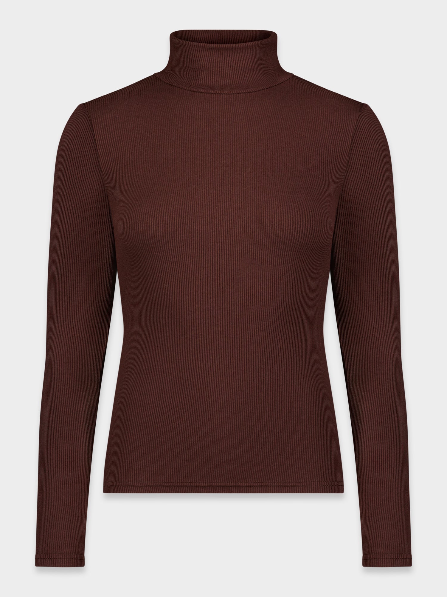 RIBBED TURTLENECK-BROWN